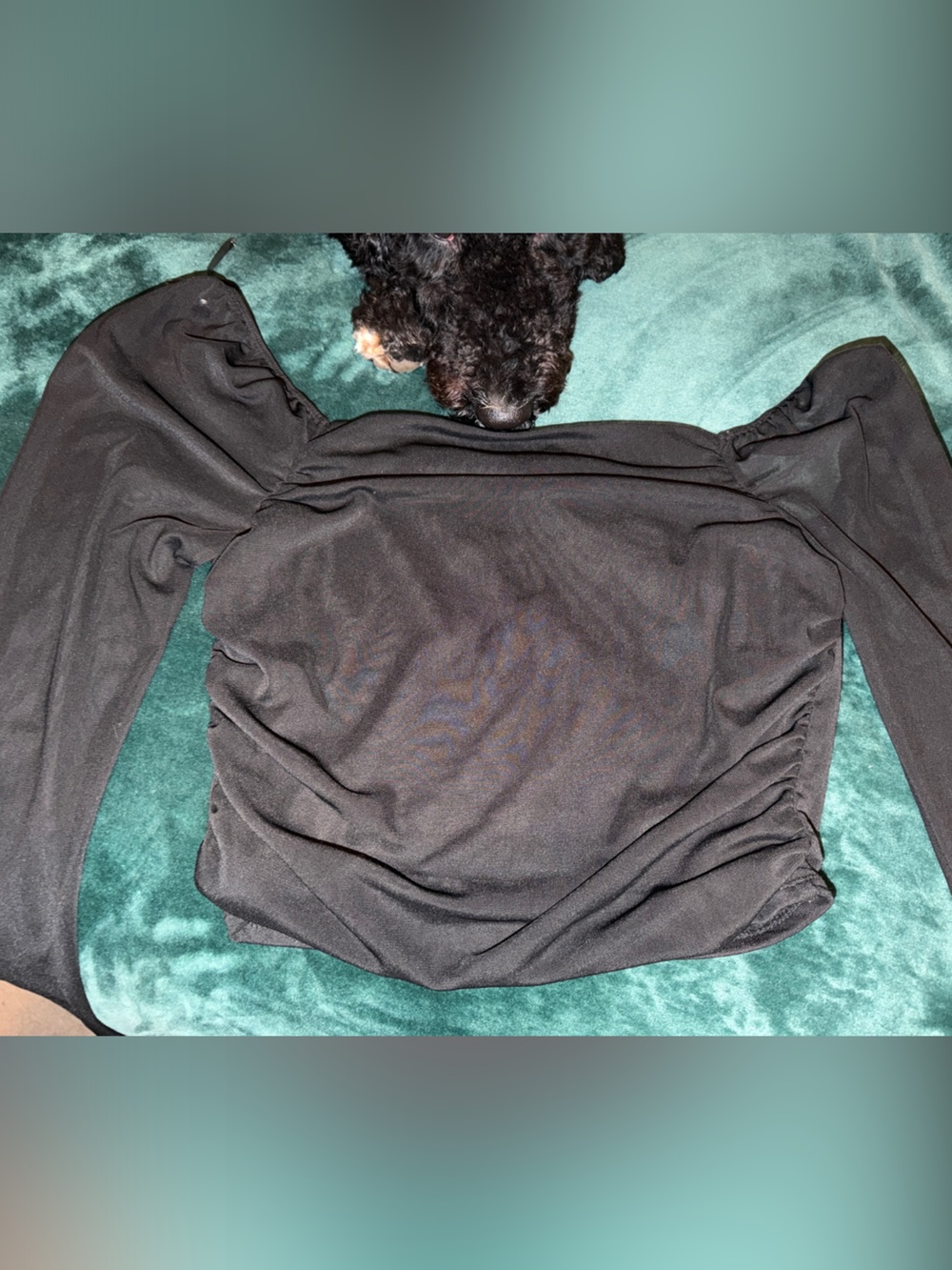 Women’s Black Long-Sleeve Square Neck crop Blouse